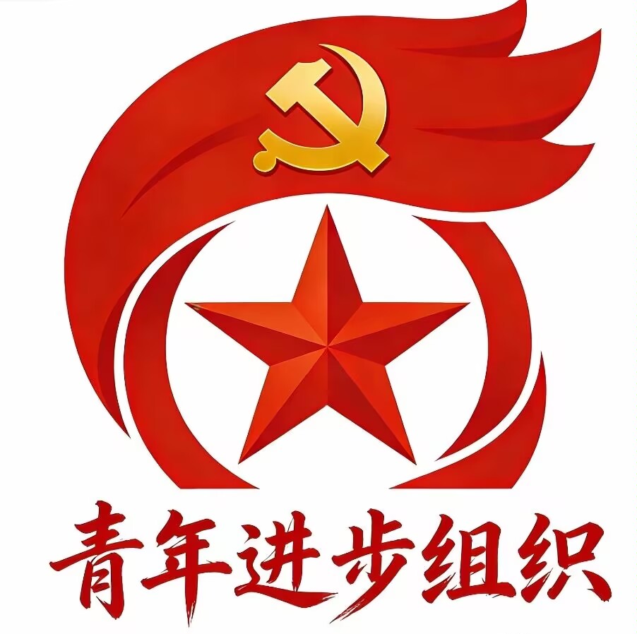 青年进步组织